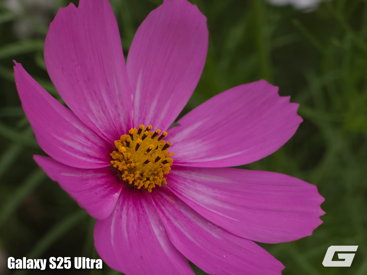 So Sanh Camera Galaxy S26 Ultra Vs Galaxy S25 Ultra Genk 20260306140223 1773056594671637629829