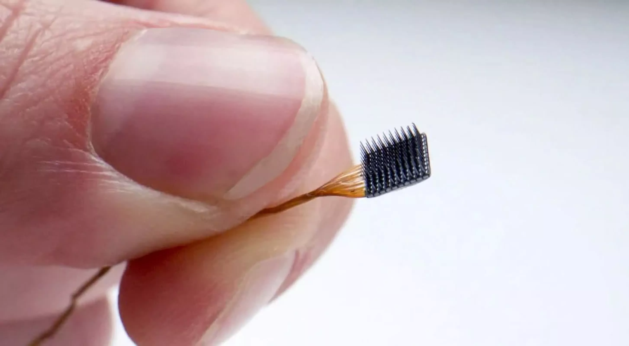 Nhạc sĩ 69 tuổi liệt to&agrave;n th&acirc;n cấy 6 vi chip v&agrave;o n&atilde;o để c&oacute; thể s&aacute;ng t&aacute;c, v&agrave; đ&acirc;y l&agrave; t&aacute;c phẩm của &ocirc;ng- Ảnh 2.