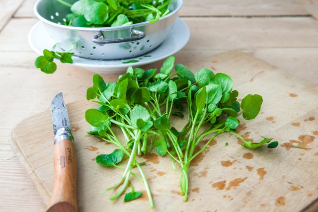 Loại rau tốt nhất thế giới với mật độ dinh dưỡng d&agrave;y đặc: Việt Nam kh&ocirc;ng thiếu - Ảnh 1.