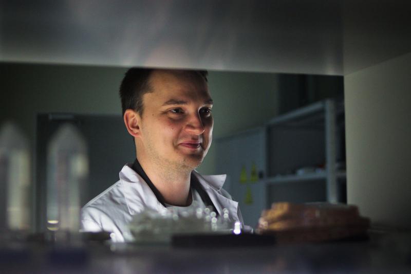  Nhỏ tương đương một loại virus - Ảnh 2.