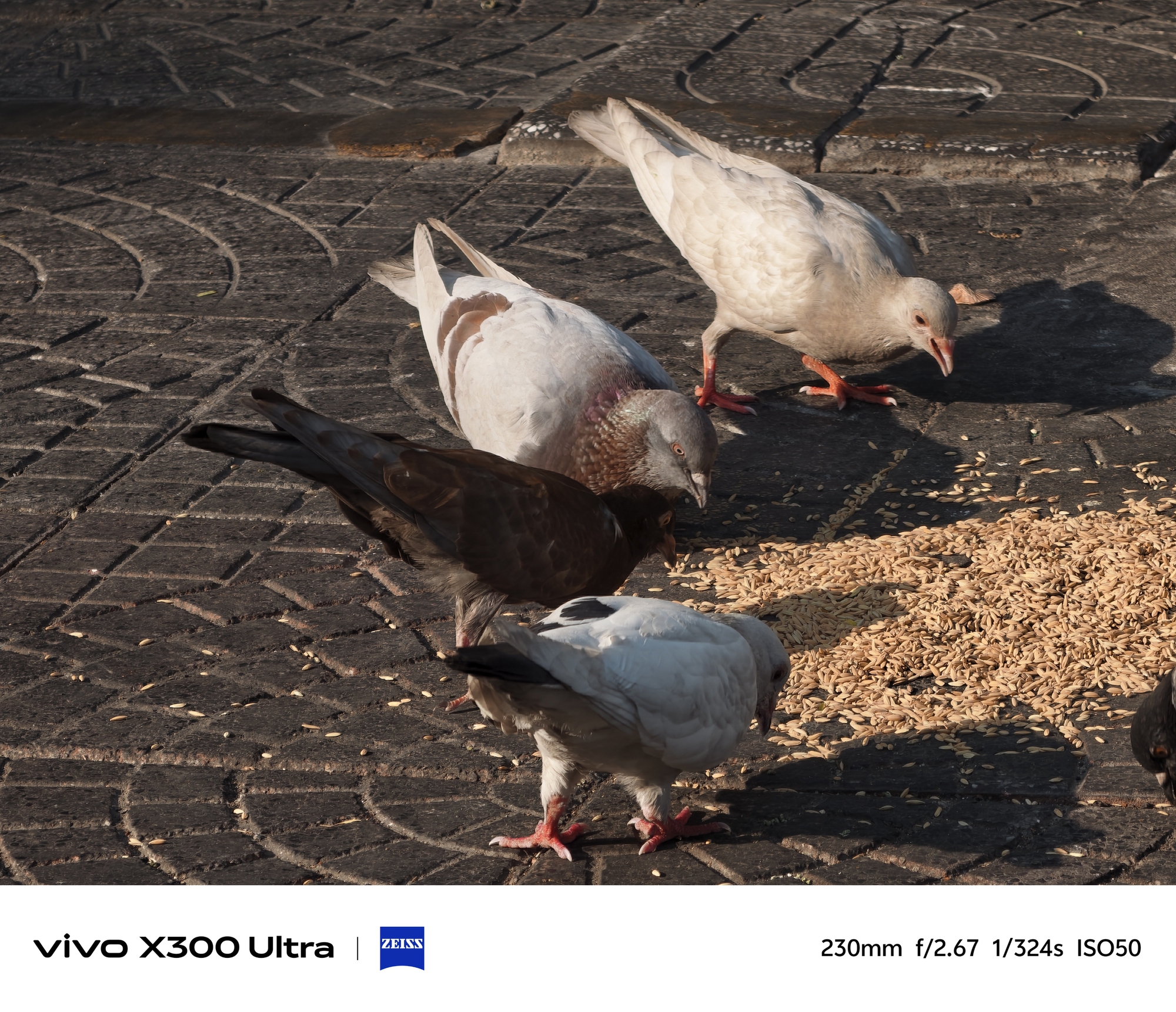 Trải nghiệm camera tr&ecirc;n vivo X300 Ultra: Vẫn &ldquo;đỉnh ch&oacute;p&rdquo;, nhưng kh&ocirc;ng phải ai cũng cần- Ảnh 41.