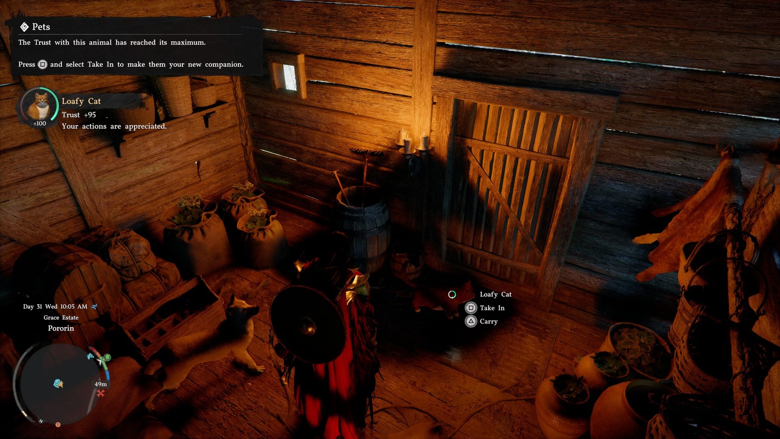 Bắt một con c&aacute; n&agrave;y, thuần h&oacute;a m&egrave;o trong Crimson Desert chỉ mất v&agrave;i ph&uacute;t - Ảnh 3.