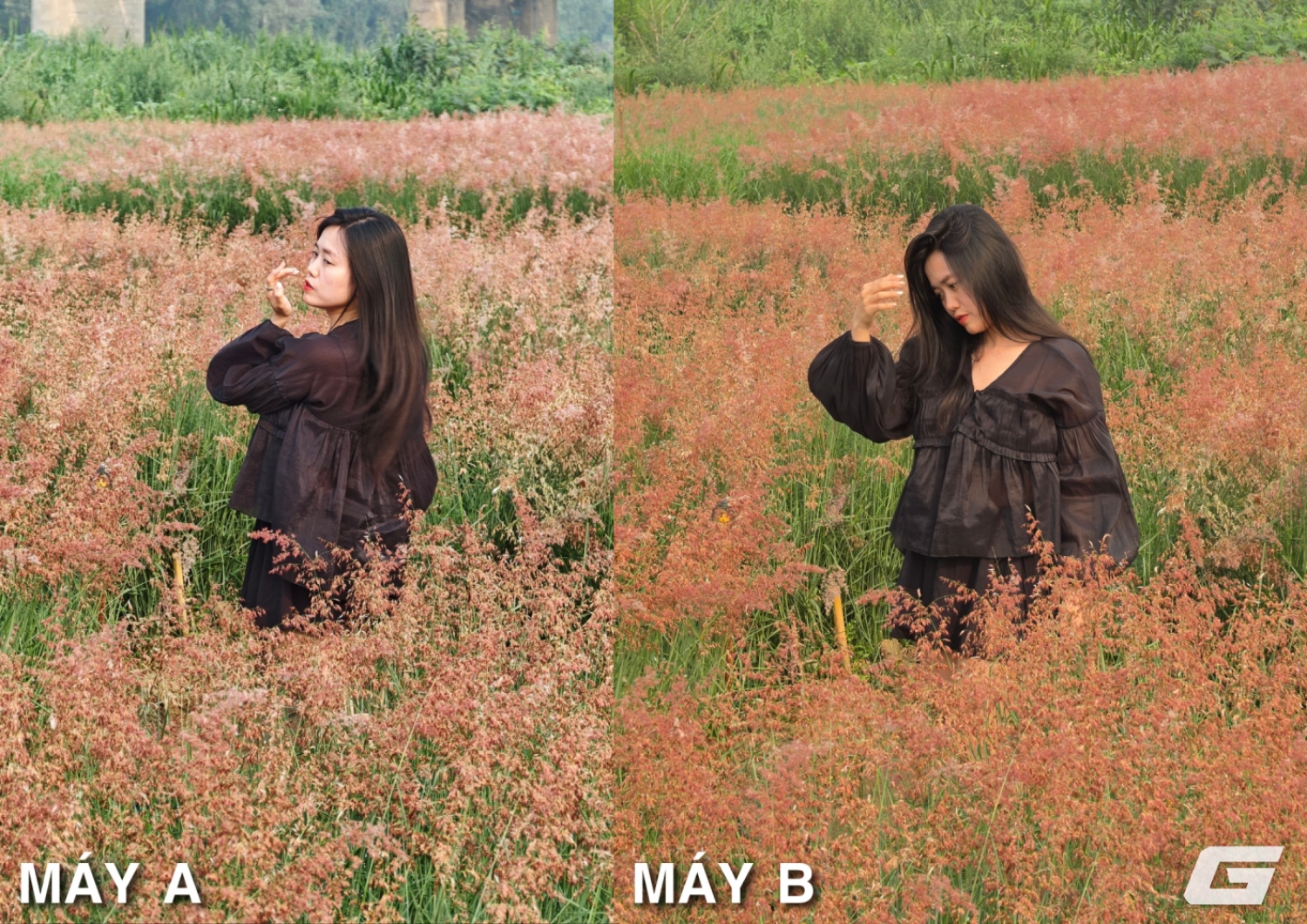 Blind test camera Galaxy S26 Ultra và Leica Leitzphone by Xiaomi: Bài thử dễ phân biệt nhất? 27 Blind test camera Galaxy S26 Ultra và Leica Leitzphone by Xiaomi: Bài thử dễ phân biệt nhất? - Ảnh 8.