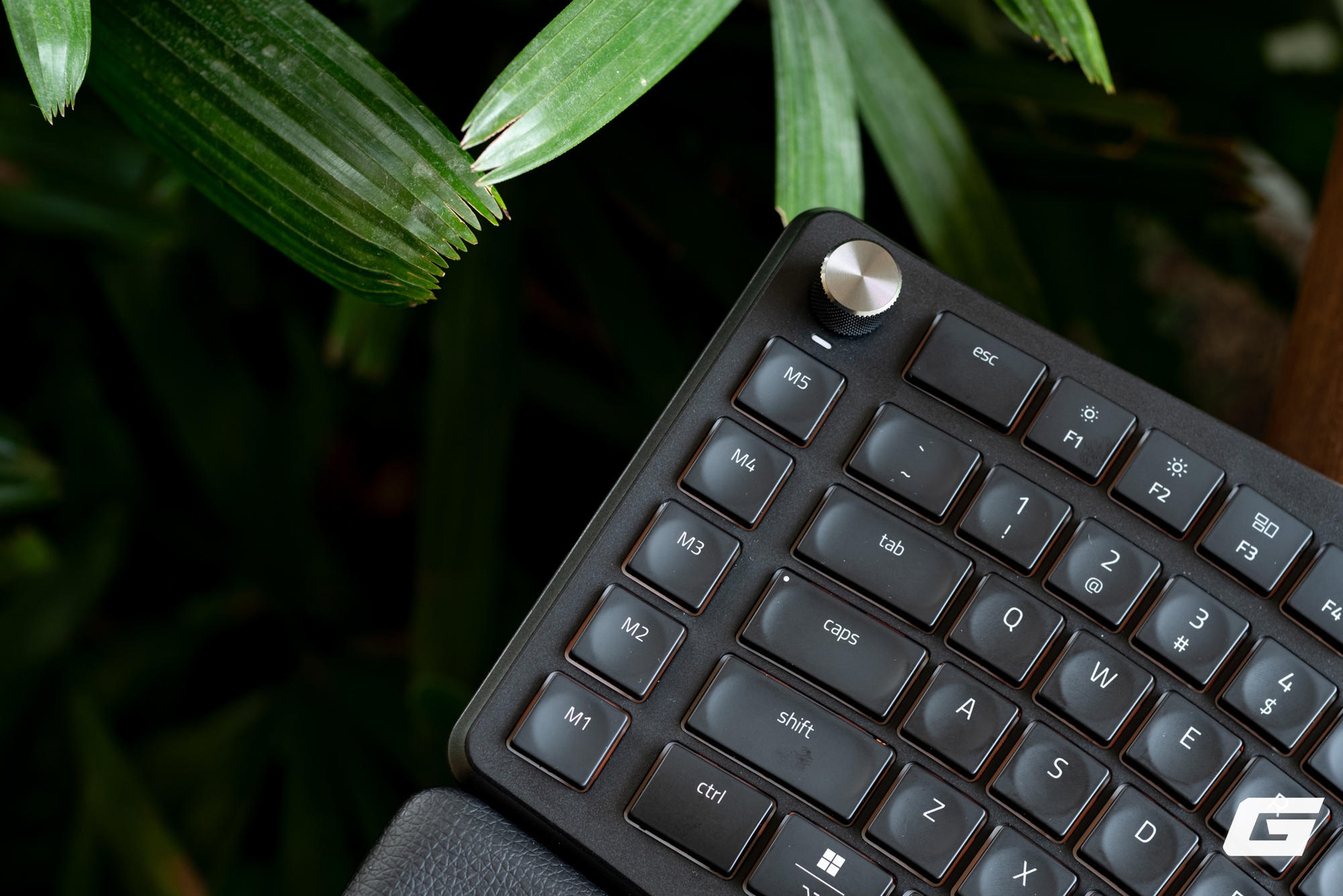 Lần đầu trải nghiệm bộ đ&ocirc;i c&ocirc;ng th&aacute;i học Pro Type Ergo v&agrave; Pro Click V2: Ho&aacute; ra Razer l&agrave;m đồ cho d&acirc;n văn ph&ograve;ng cũng rất ra g&igrave; - Ảnh 14.