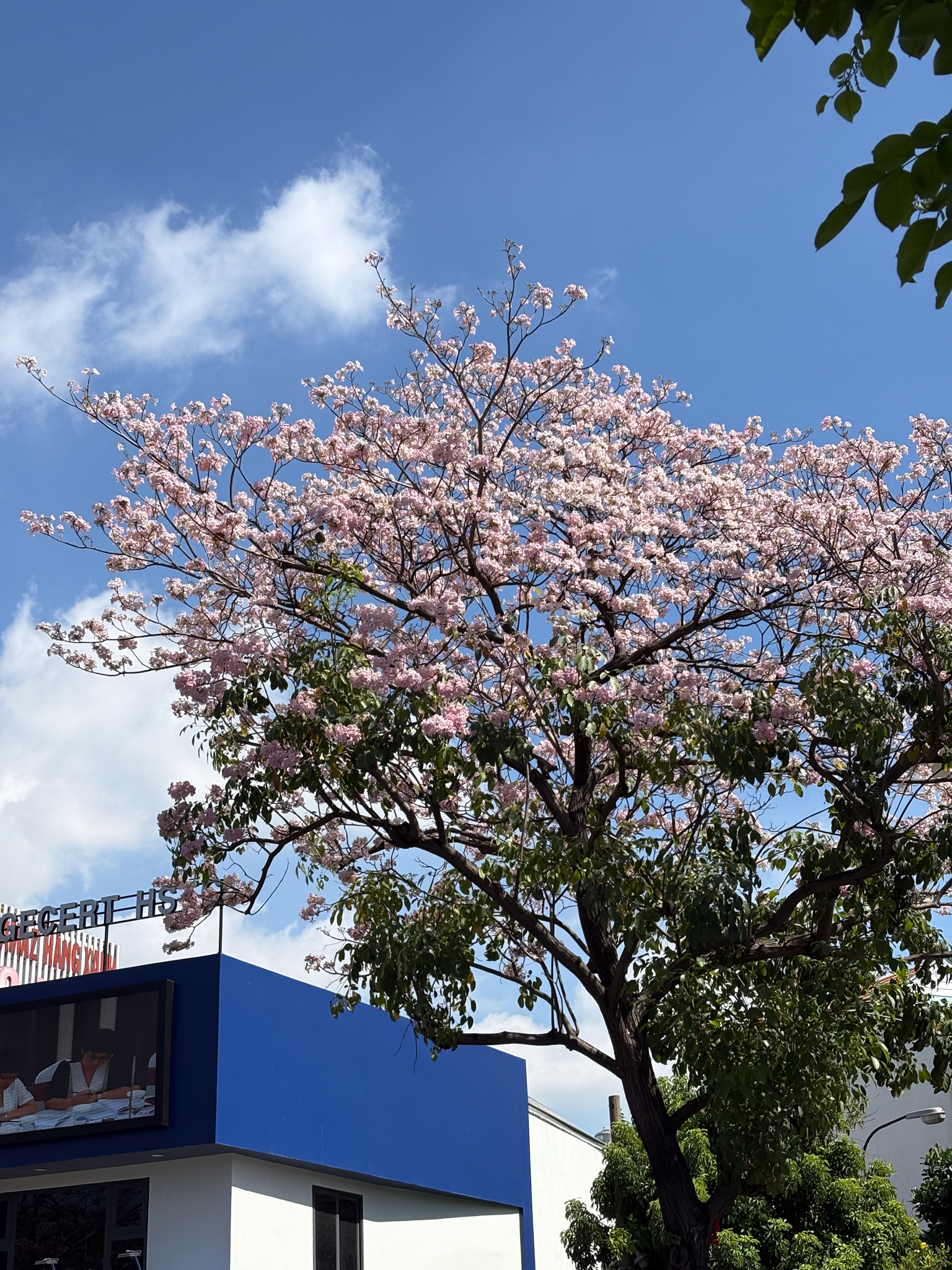 OPPO Find X9s &ldquo;đọ sức&rdquo; c&ugrave;ng iPhone 17: Khi camera mới l&agrave; thứ quyết định cuộc chơi - Ảnh 18.