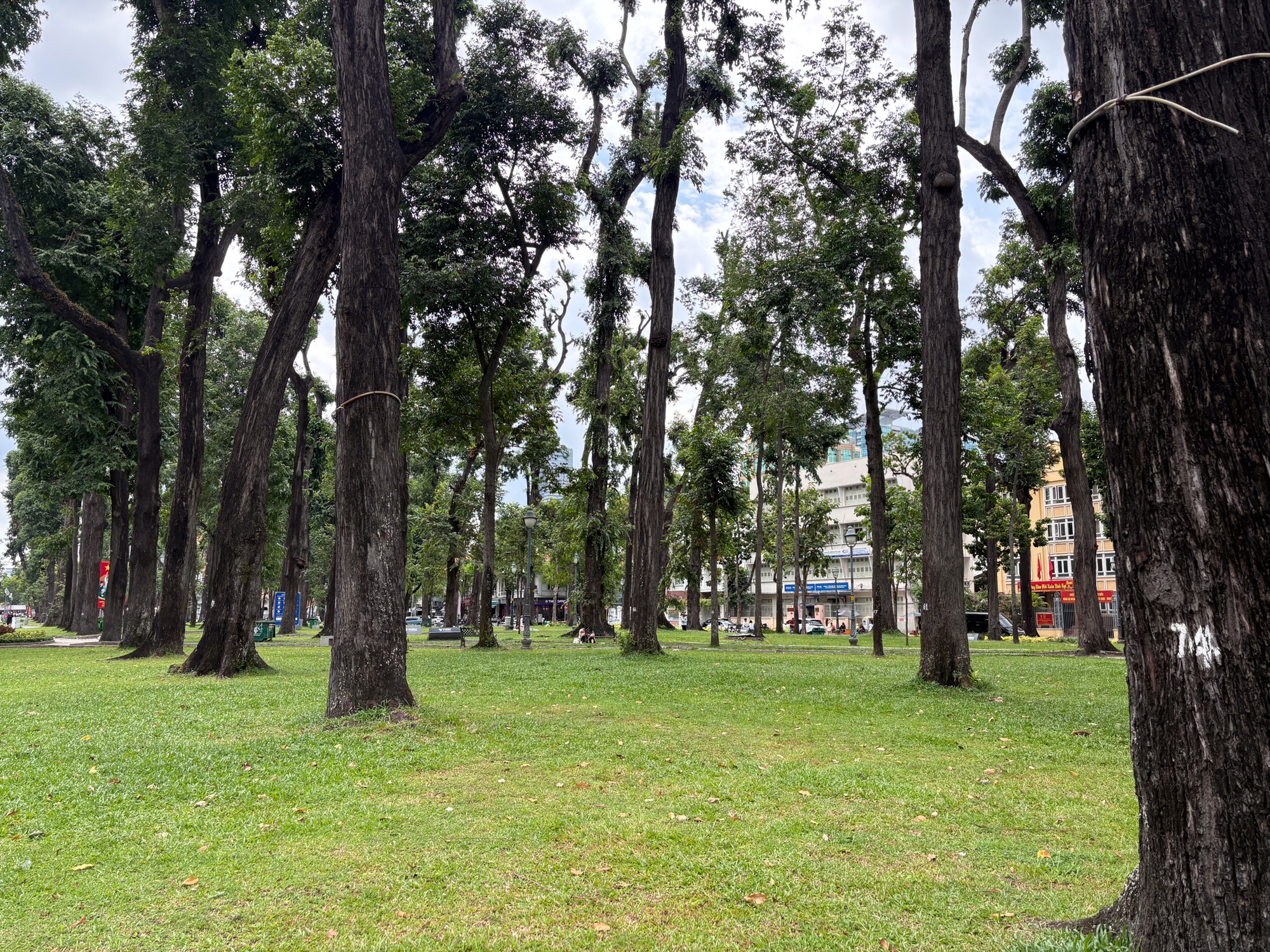 OPPO Find X9s &ldquo;đọ sức&rdquo; c&ugrave;ng iPhone 17: Khi camera mới l&agrave; thứ quyết định cuộc chơi - Ảnh 6.
