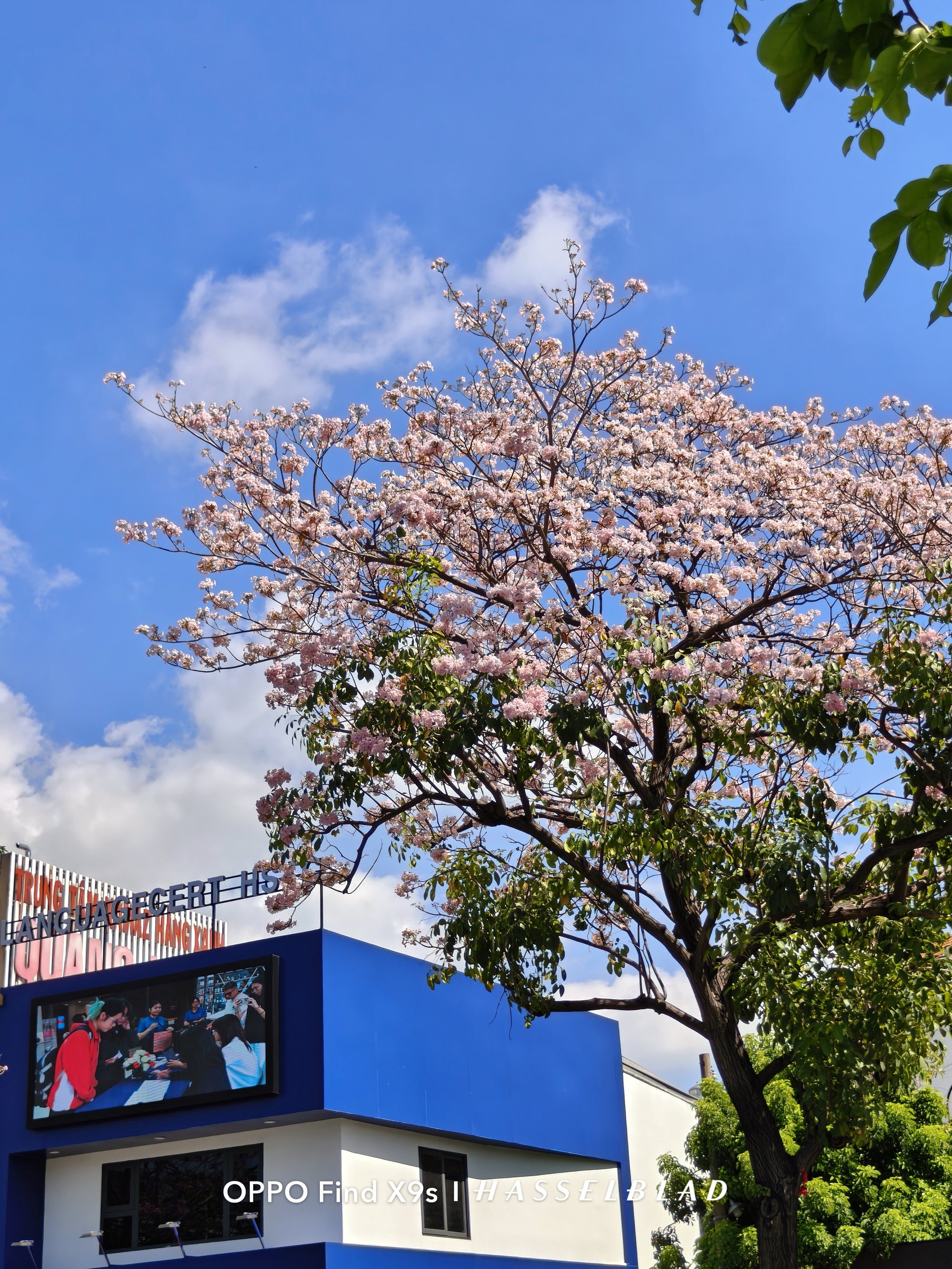 OPPO Find X9s &ldquo;đọ sức&rdquo; c&ugrave;ng iPhone 17: Khi camera mới l&agrave; thứ quyết định cuộc chơi - Ảnh 17.