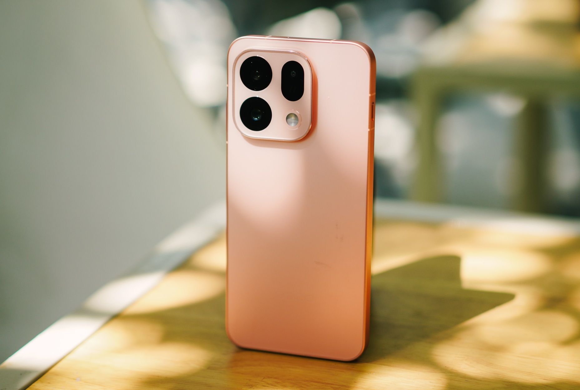 Đắm m&igrave;nh giữa kh&ocirc;ng gian xanh của Vườn B&aacute;ch thảo Singapore c&ugrave;ng OPPO Find X9s: Th&igrave; ra b&igrave;nh y&ecirc;n l&agrave; đ&acirc;y - Ảnh 5.