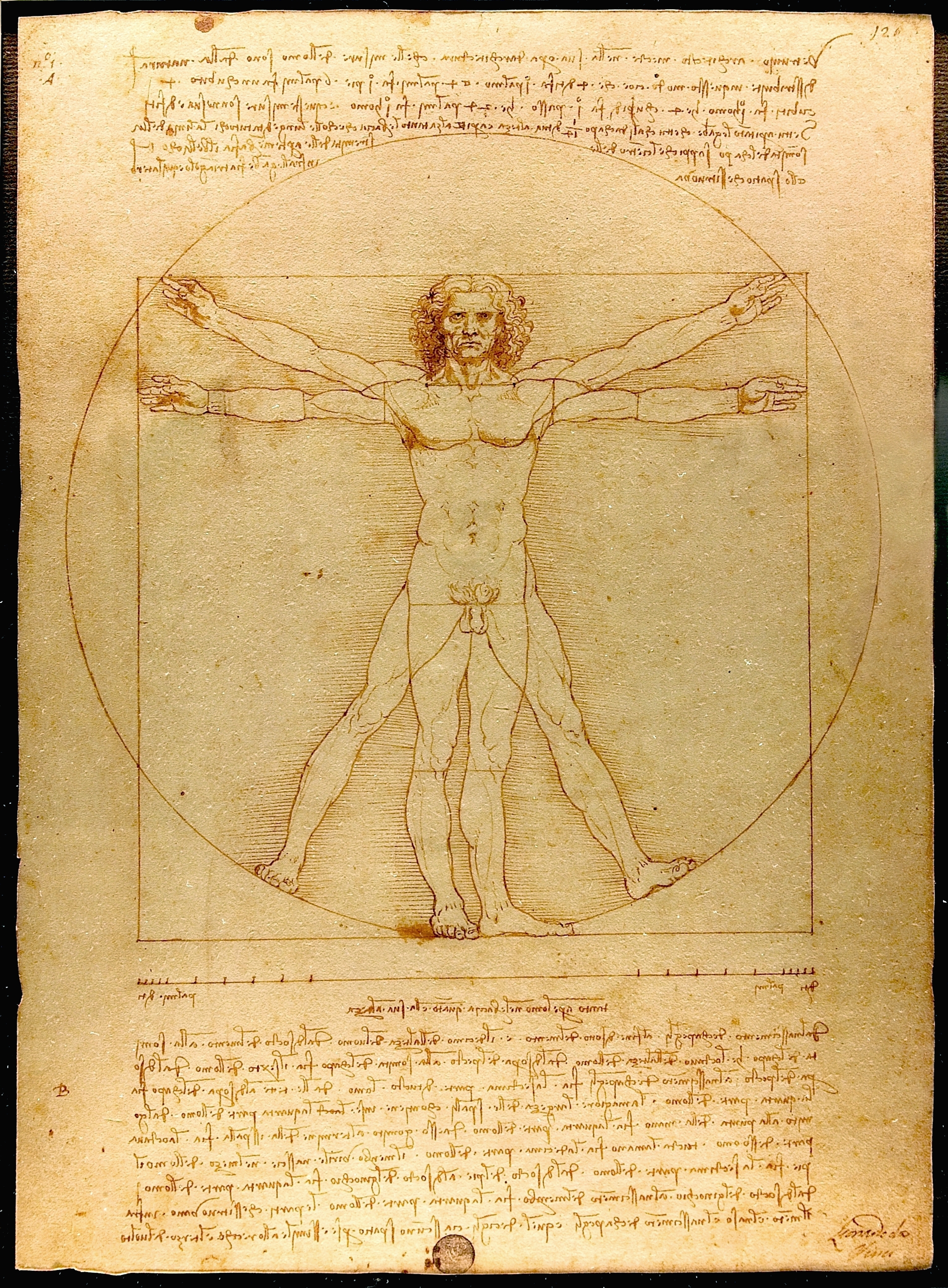 Gallery - Hơn 500 năm sau Leonardo da Vinci, tỷ lệ cơ thể của đàn ông Việt có còn khớp với "Người Vitruvius"? - image 1