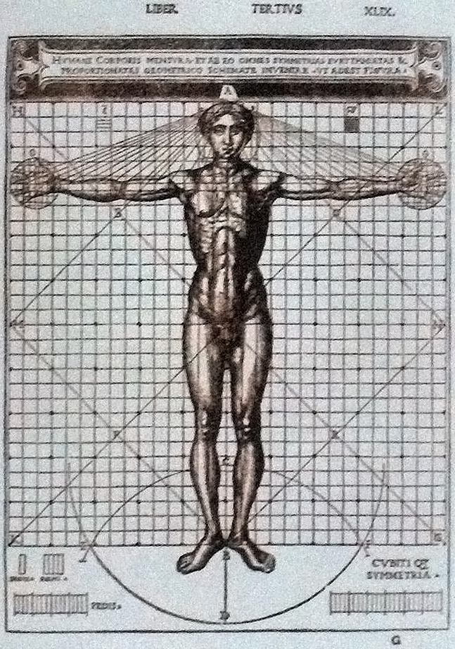 Gallery - Hơn 500 năm sau Leonardo da Vinci, tỷ lệ cơ thể của đàn ông Việt có còn khớp với "Người Vitruvius"? - image 2