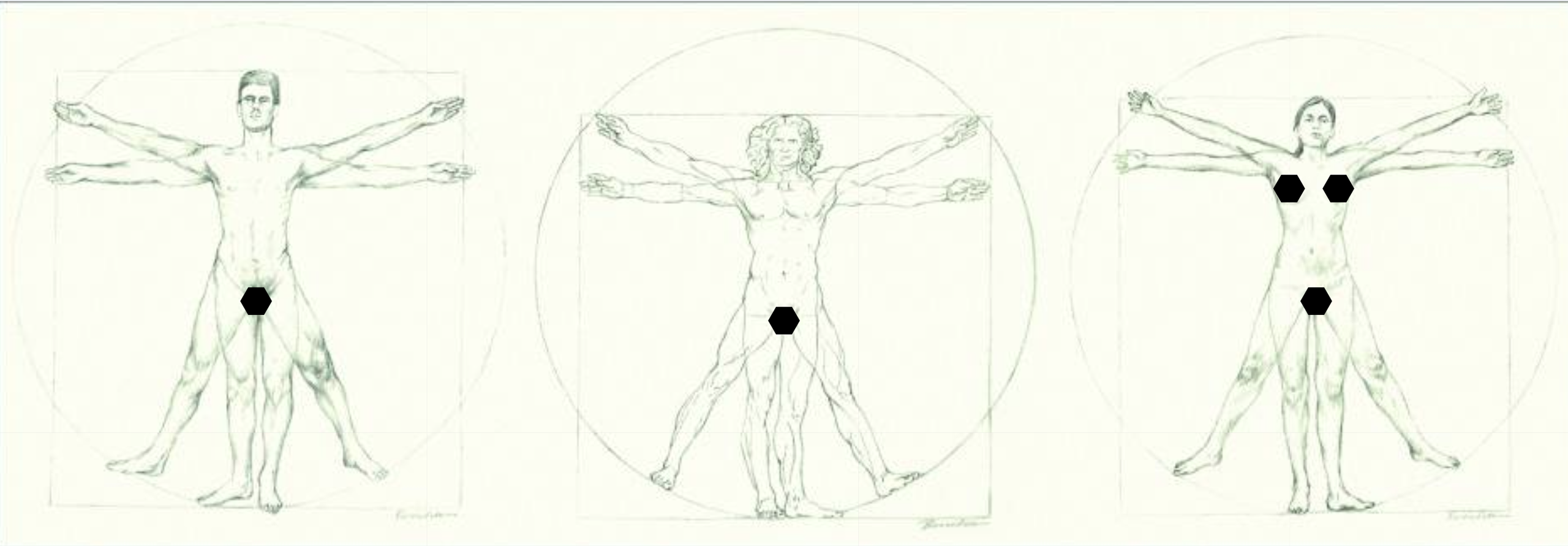 Hơn 500 năm sau Leonardo da Vinci, tỷ lệ cơ thể của đàn ông Việt có còn khớp với