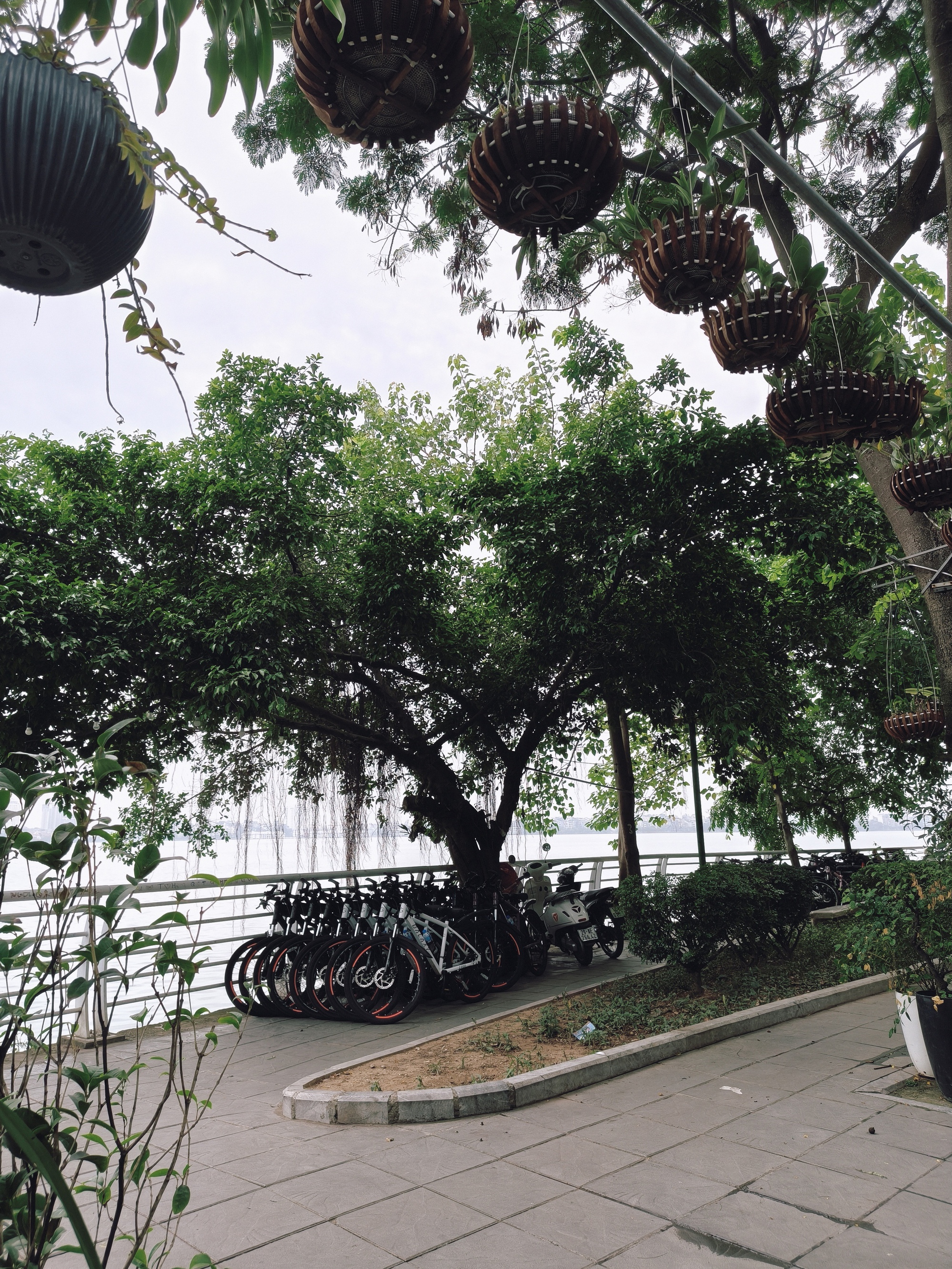 Gallery - Đây là OPPO Reno16 Pro 5G: Mặt lưng 3D nổi siêu "ảo diệu", camera 200MP và chế độ chụp ảnh giả lập phim rất GenZ - image 8