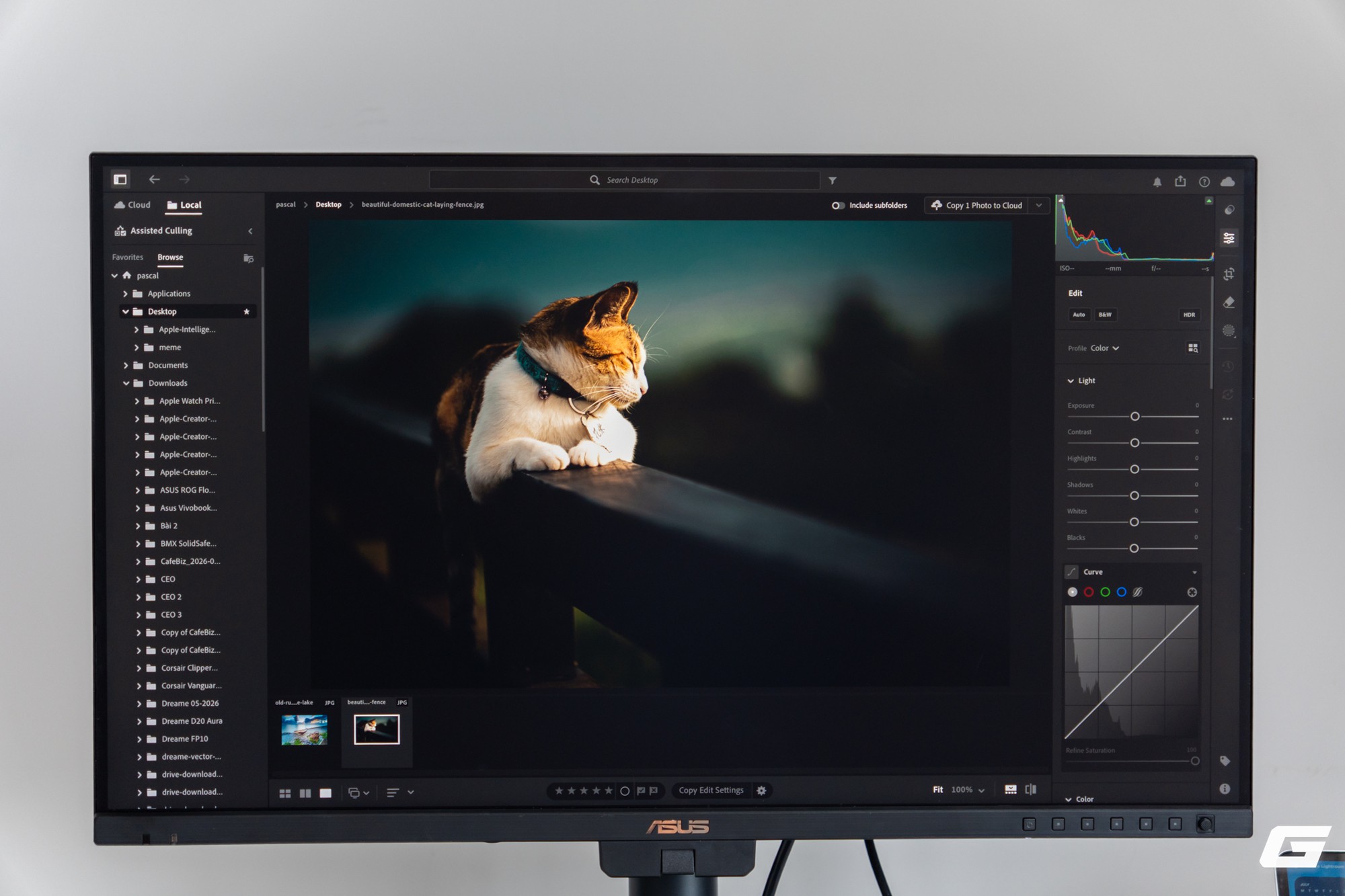  4K sắc nét, 160Hz mượt mà và hai trang bị “chân ái” cho giới sáng tạo - Ảnh 27.