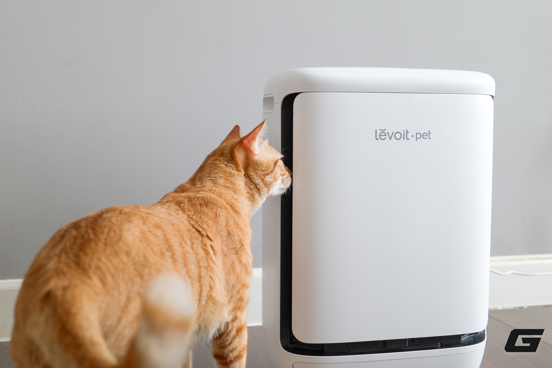 Trải nghiệm Levoit Vital Pet Pro: M&aacute;y lọc kh&ocirc;ng kh&iacute; cần c&oacute; cho hội con sen y&ecirc;u boss lắm l&ocirc;ng - Ảnh 20.