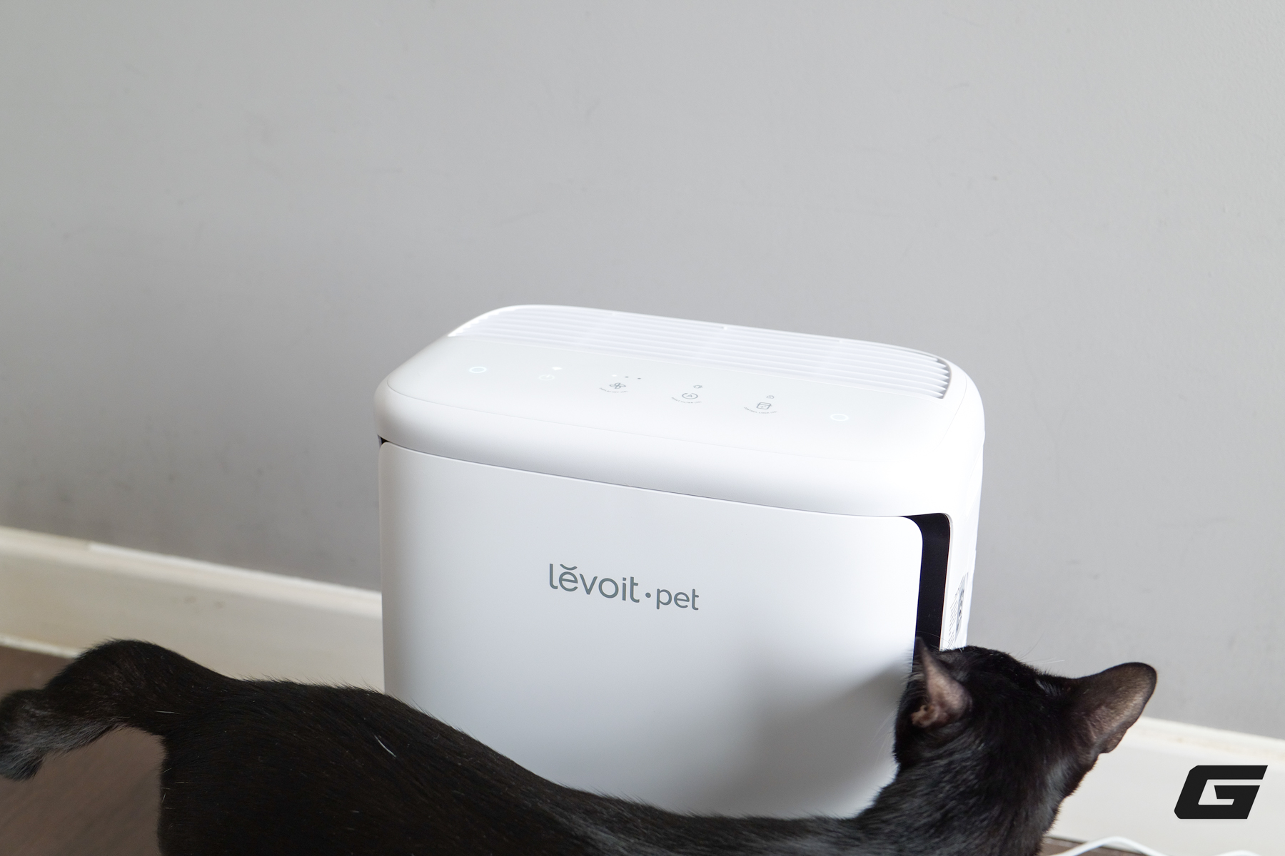 Trải nghiệm Levoit Vital Pet Pro: M&aacute;y lọc kh&ocirc;ng kh&iacute; cần c&oacute; cho hội con sen y&ecirc;u boss lắm l&ocirc;ng - Ảnh 19.