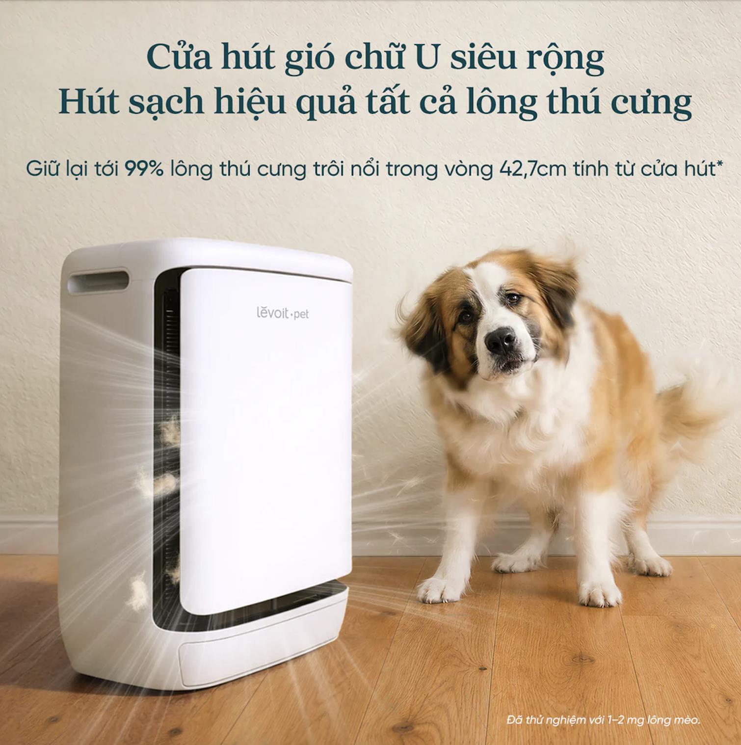 Levoit Vital Pet Pro: &ldquo;Mổ xẻ&rdquo; chiếc m&aacute;y lọc kh&ocirc;ng kh&iacute; th&uacute; cưng h&agrave;ng đầu ph&acirc;n kh&uacute;c - Ảnh 1.