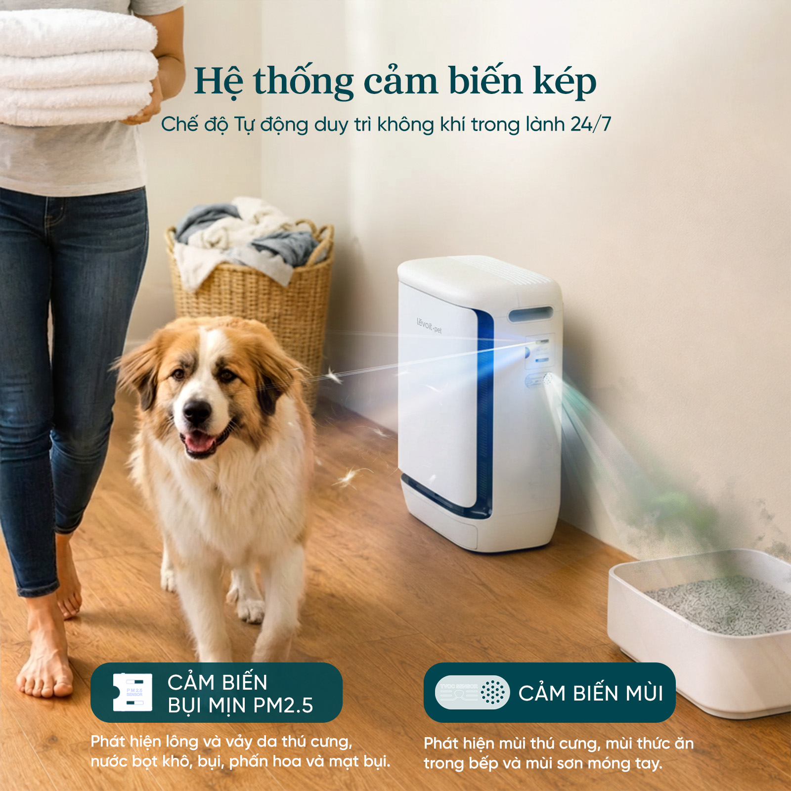 Gallery - Levoit Vital Pet Pro ra mắt tại Việt Nam: Máy lọc không khí tự “gom” lông thú, xử lý cả mùi hôi - image 7