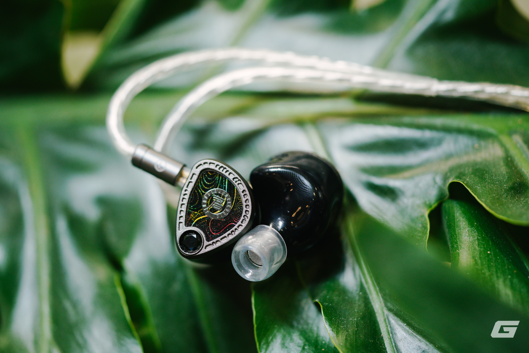 Juzear Light Shuttle - Ảnh 13.