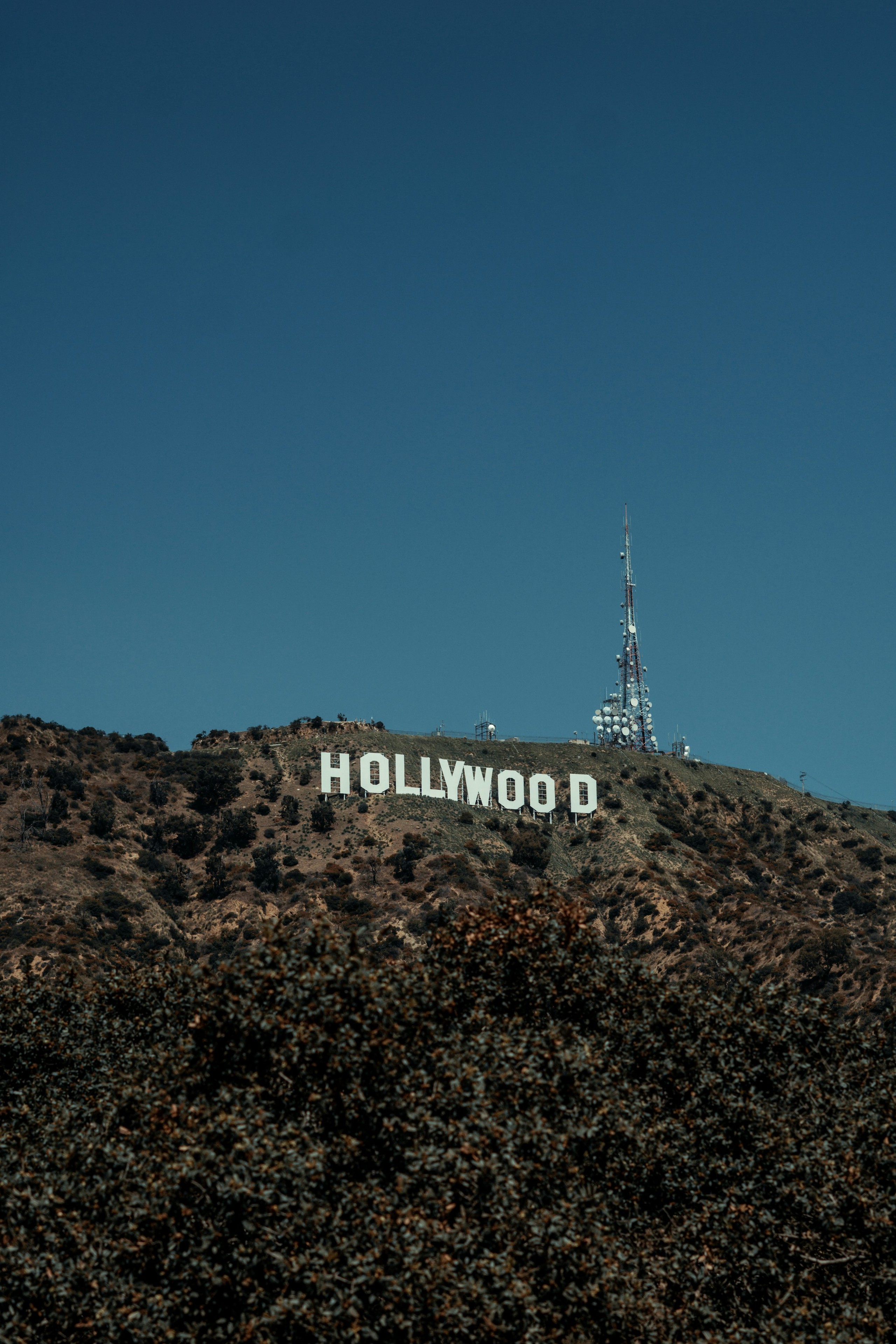 Hollywood ngày nay