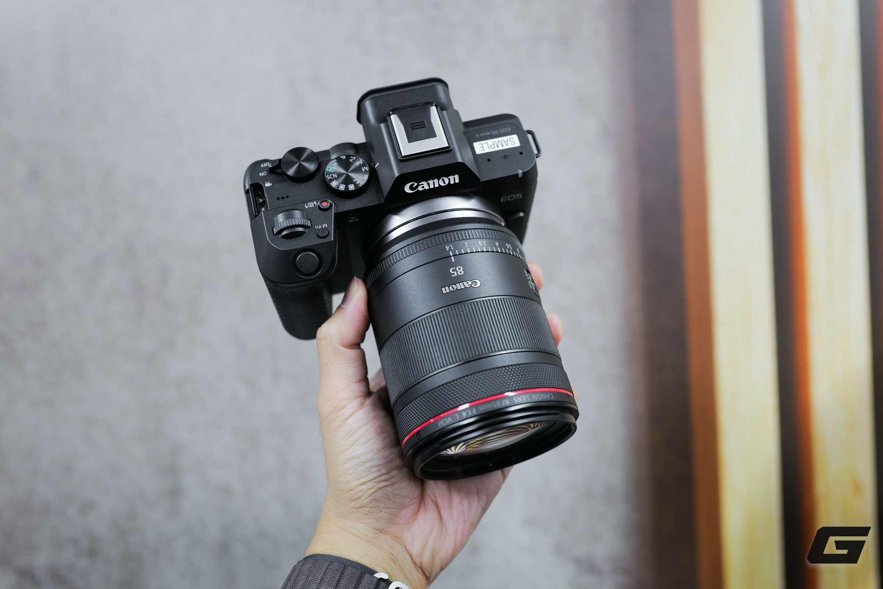 Gallery - Canon EOS R8 Mark II ra mắt tại Việt Nam, giá 44,99 triệu đồng - image 1