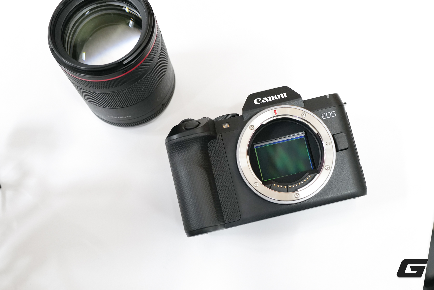 Gallery - Canon EOS R8 Mark II ra mắt tại Việt Nam, giá 44,99 triệu đồng - image 11