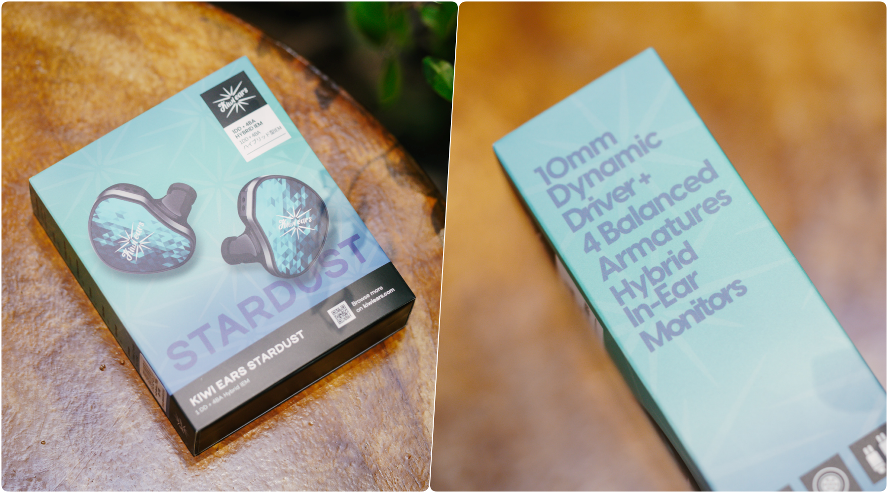 Kiwi Ears Stardust - Ảnh 2.