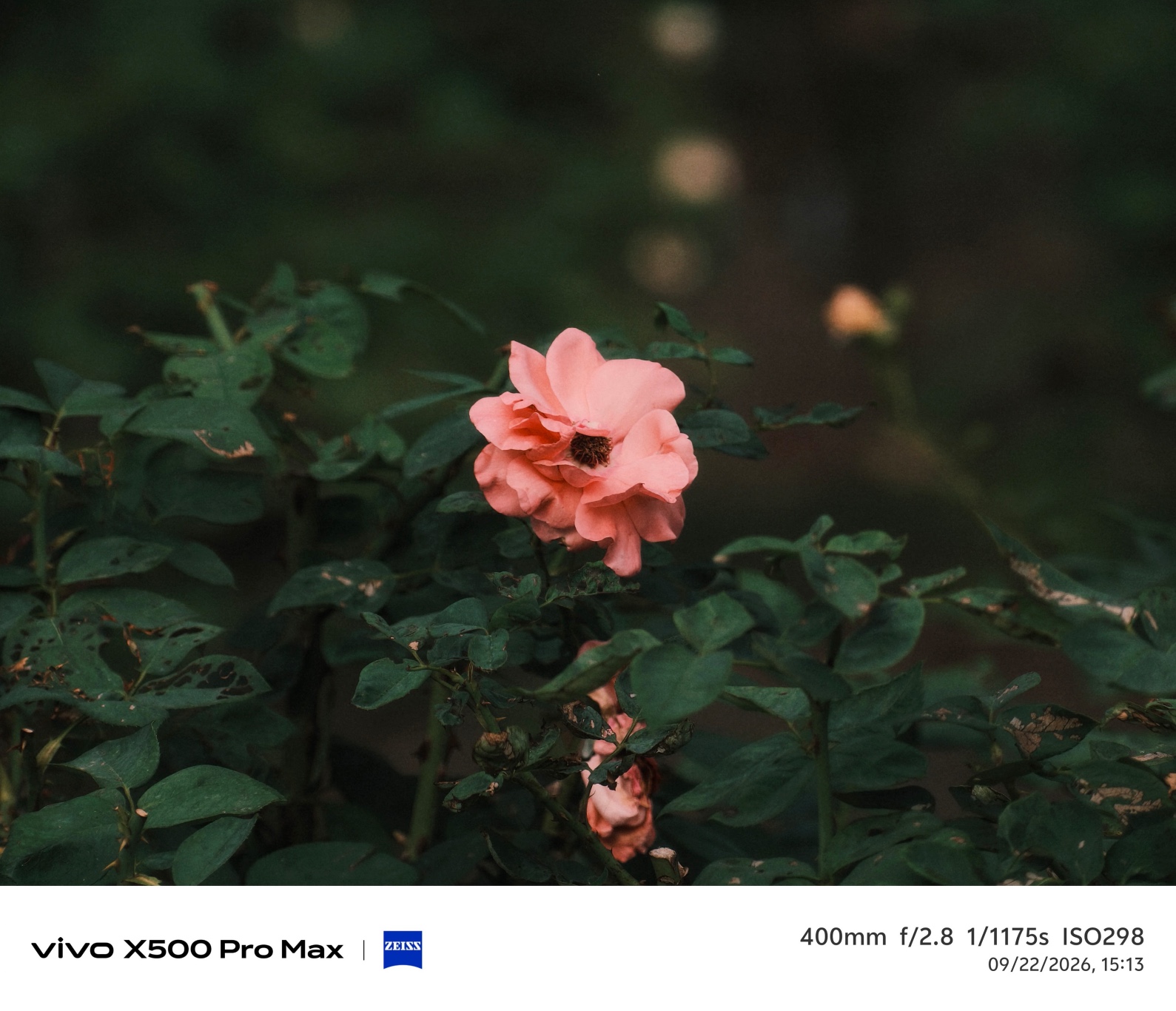 Trên Tay Vivo X300 Pro Max: Thiết Kế Nổi Bật Hơn, Camera Nâng Cấp Thấy Rõ, Cấu Hình Mạnh, Chưa Có Giá Ở Việt Nam - Ảnh 18.