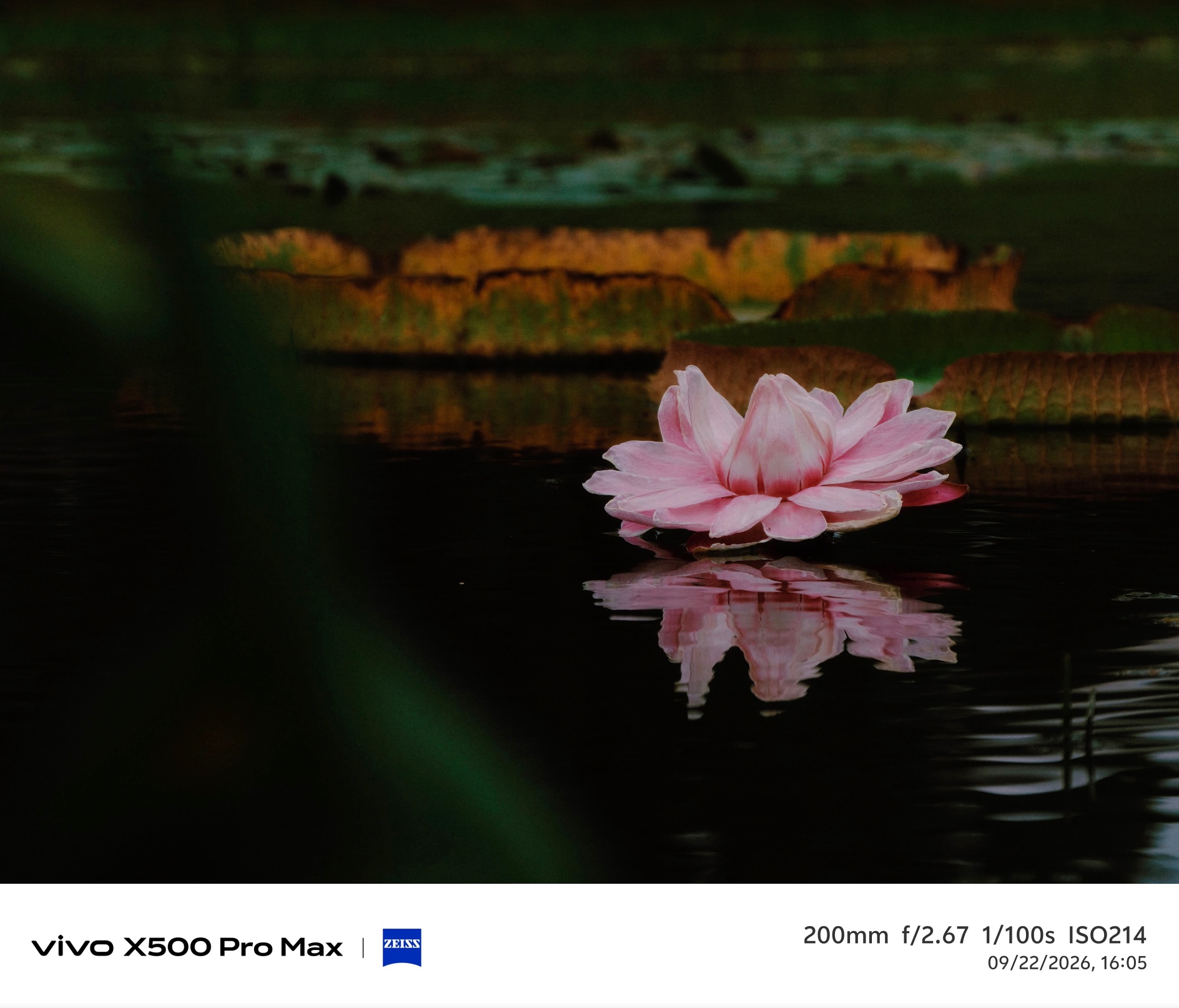 Trên Tay Vivo X300 Pro Max: Thiết Kế Nổi Bật Hơn, Camera Nâng Cấp Thấy Rõ, Cấu Hình Mạnh, Chưa Có Giá Ở Việt Nam - Ảnh 29.