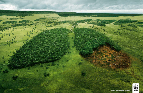 
	Khoảng rừng hình lá phổi bị tàn phá cho thấy con người ngày càng tham lam, tước đi sự sống của những loài vật và làm mẹ Trái Đất ngạt thở