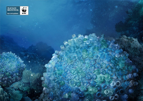 
	San hô thủy tinh được tạo tành từ chai, lọ mà con người vô ý vứt xuống đại dương