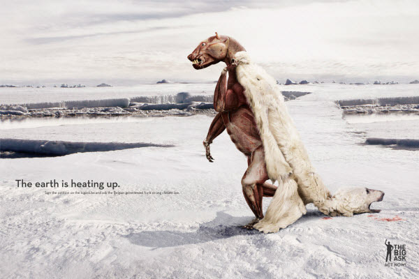 
	Trái đất đang nóng lên. Một poster ấn tượng với thông điệp đến gấu phải bỏ lớp da cho đỡ nóng