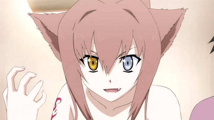 Tư thế của cô gái anime xinh đẹp với đôi tai sói 2K tải xuống hình nền
