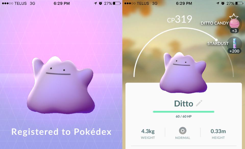 Đây rồi, cuối cùng Ditto trong Pokemon GO đã bị tóm gọn