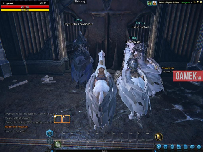 Mạnh tay chống hack, Riders of Icarus ban 