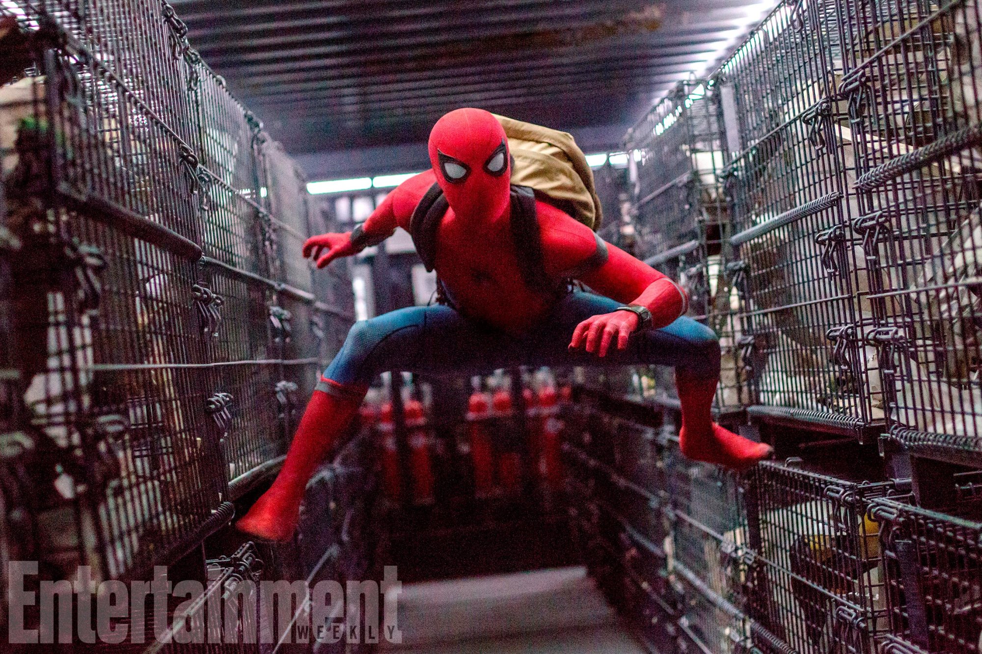 Spider-man của Tom Holland đã được chuẩn bị để có tới... 5 phần phim nữa