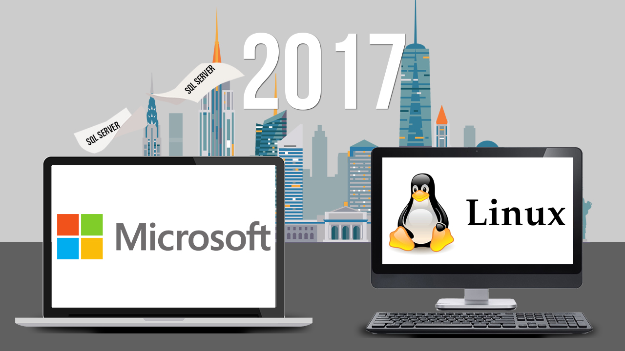 Mối lương duyên bất ngờ giữa Microsoft và Linux bắt đầu bằng một bát phở