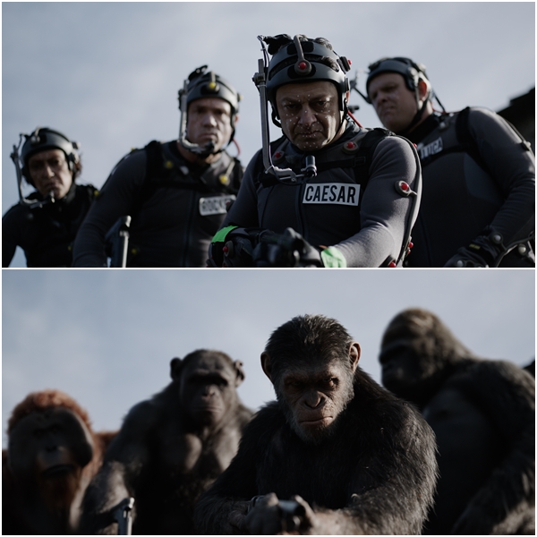 
Andy Serkis tiếp tục cầm trịch vai chính Caesar
