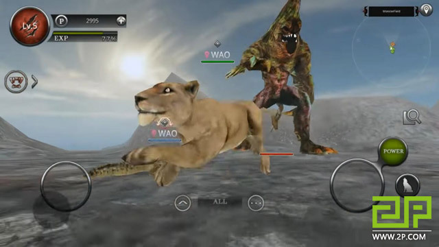 Wild Animals Online - Game kỳ quặc cho game thủ hoá thân thành Hổ, Báo,  Gấu... đi đánh nhau với Rồng