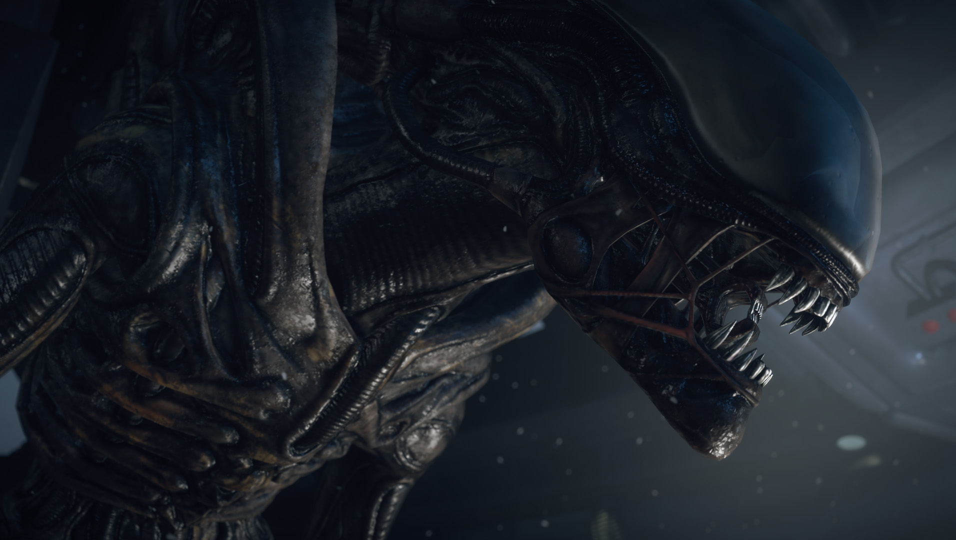 Vẻ đẹp nguyên bản của Xenomorph trong phim Alien - Một trong những con quái  vật mang tính biểu tượng nhất ngành điện ảnh