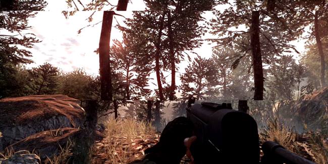  Đây chính là rách hình. 