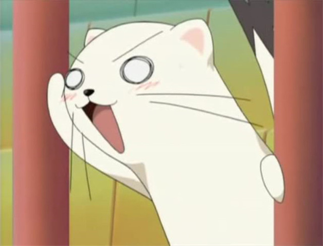 
Trong anime Negima, chú chồn ecmin thích hút thuốc lá có tên là Albert Chamomile. Cậu ta rất thích trộm đồ lót và biến thái vô cùng.
