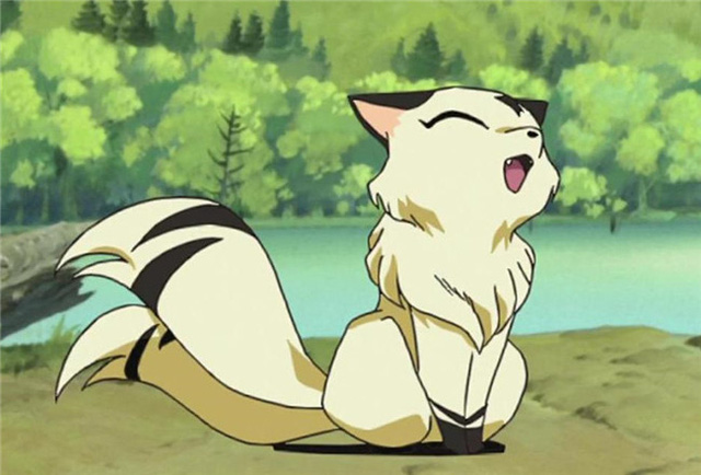 
Trong anime “InuYasha, bình thường Kirara là một yêu quái hai đuôi vô cùng đáng yêu nhưng khi biến hình trở nó trở nên to lớn và giỏi chiến đấu.
