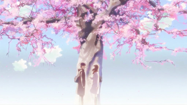 Mách bạn 101 hình nền hoa anh đào rơi anime hay nhất  thdonghoadian