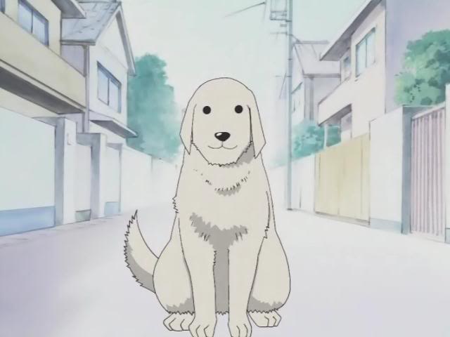 Mấy chú chó con trong anime không chỉ giỏi mà còn rất dễ thương đấy. Hãy cùng ngắm nhìn những hình ảnh chó con anime dễ thương này và cảm nhận sự ngọt ngào của chúng.