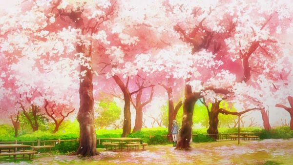 Muôn sắc hoa anh đào trong các bộ anime Nhật Bản