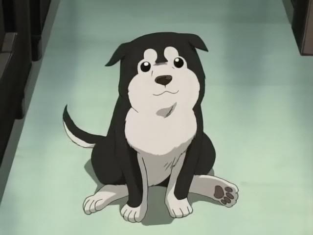 100+ Mẫu Ảnh Con Chó Anime Đáng Yêu Và Dễ Thương