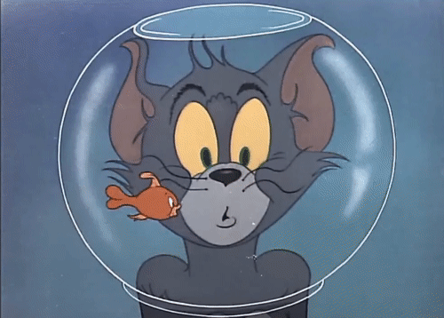 Tom and Jerry và những điểm vô lý đến cùng cực nhưng ai xem cũng phải mê - Ảnh 14.