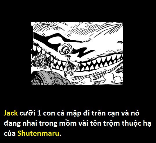 Góc soi mói One Piece 921: Kaido đã ăn trái ác quỷ Zoan thần thoại Rồng? Đạo tặc Shutenmaru chính là Ashura Douji? - Ảnh 16.