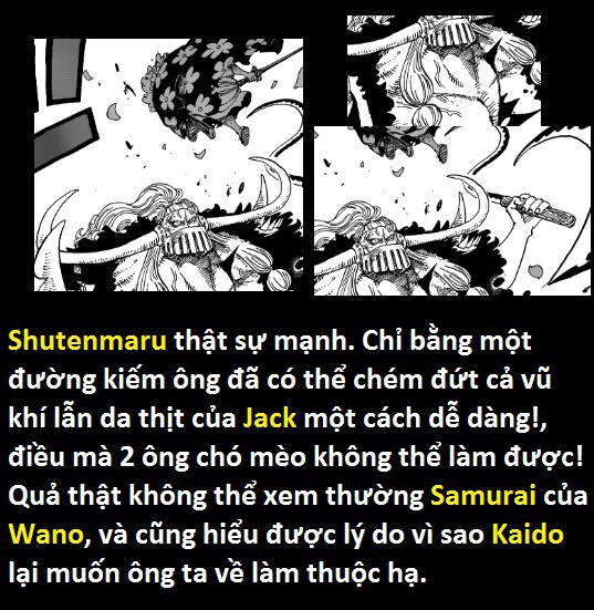 Góc soi mói One Piece 921: Kaido đã ăn trái ác quỷ Zoan thần thoại Rồng? Đạo tặc Shutenmaru chính là Ashura Douji? - Ảnh 17.