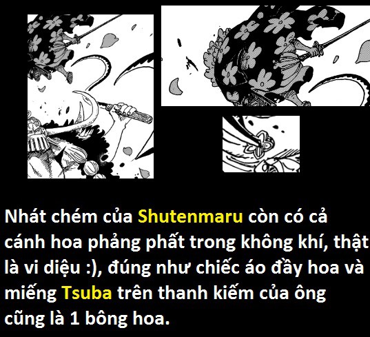 Góc soi mói One Piece 921: Kaido đã ăn trái ác quỷ Zoan thần thoại Rồng? Đạo tặc Shutenmaru chính là Ashura Douji? - Ảnh 18.